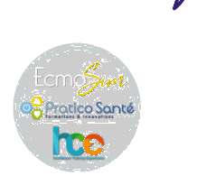 EcmoSim / Pratico Santé / HCE